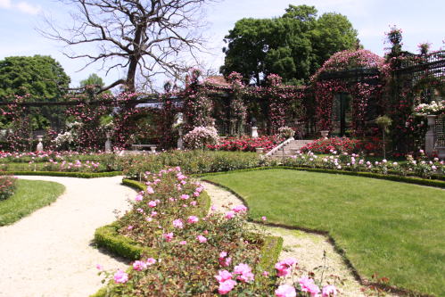 c0090198_438682.jpg
