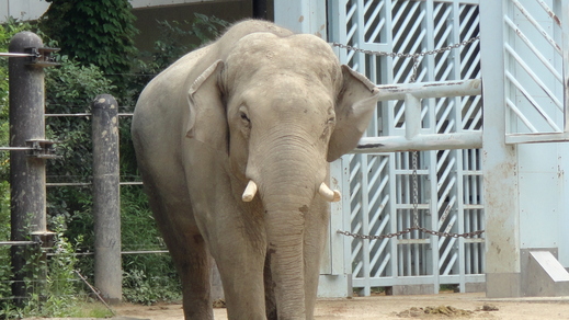 c0017999_20413421.jpg
