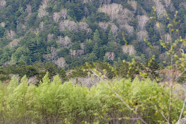 e0039703_0123579.jpg