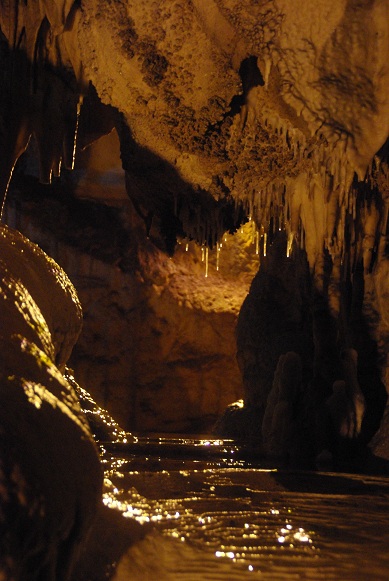 f0038904_6403190.jpg