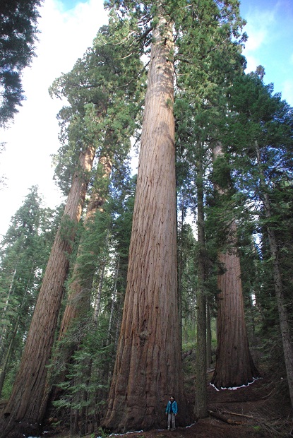 f0038904_650798.jpg