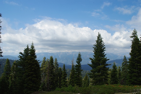 5/27 Sequoia and Kings Canyon National Park －②_f0038904_8181856.jpg