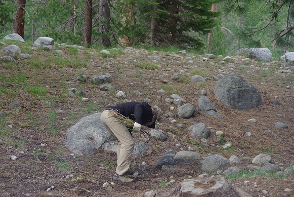 5/27 Sequoia and Kings Canyon National Park －②_f0038904_833796.jpg