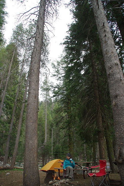 5/27 Sequoia and Kings Canyon National Park －②_f0038904_8353463.jpg