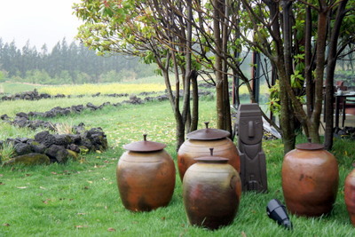 c0148705_21302463.jpg