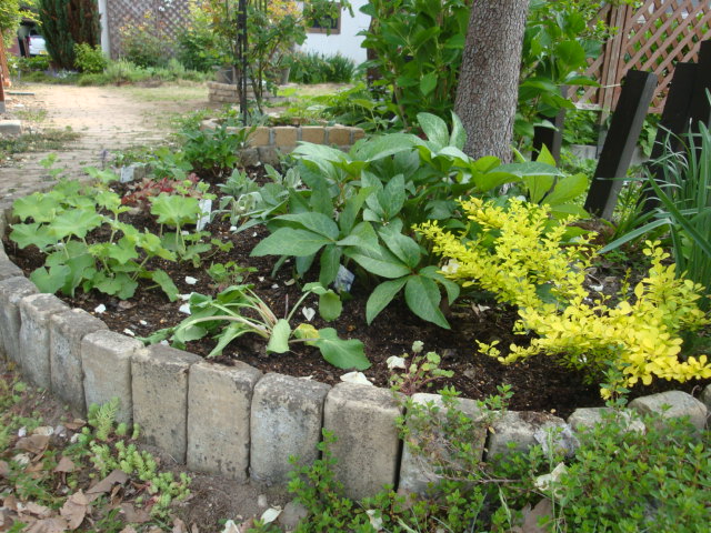e0175905_181118.jpg