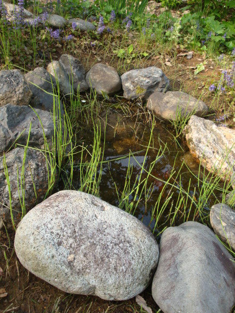 e0175905_1864982.jpg