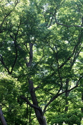 f0041606_17255593.jpg