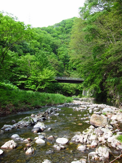 f0137709_22501762.jpg