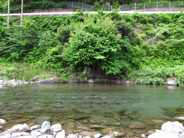 f0137709_2330389.jpg