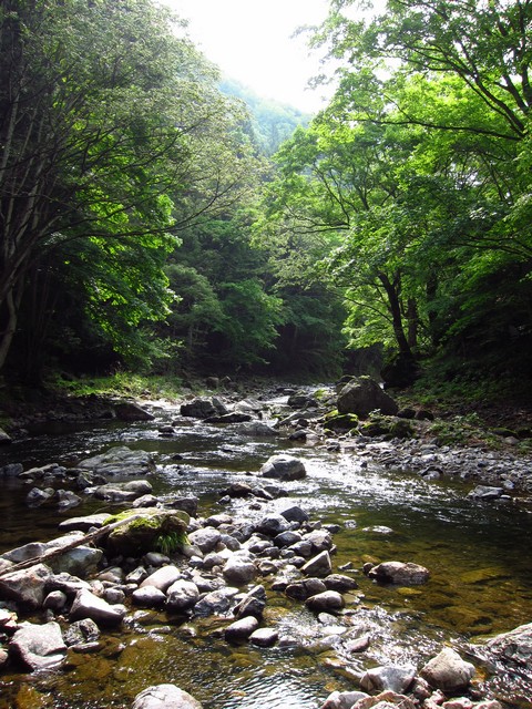 f0137709_23394226.jpg