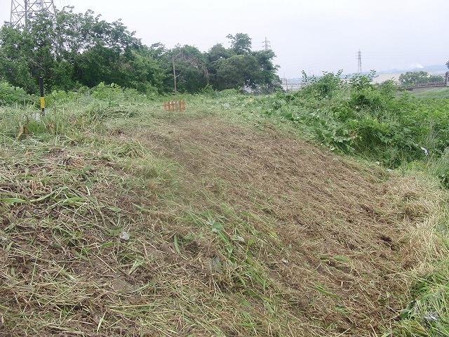 今年最初の「滝川の草刈り」_f0141310_728244.jpg