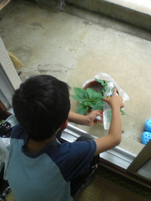 c0175411_10173152.jpg