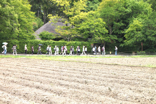 嵯峨野 落柿舎_e0048413_2253431.jpg