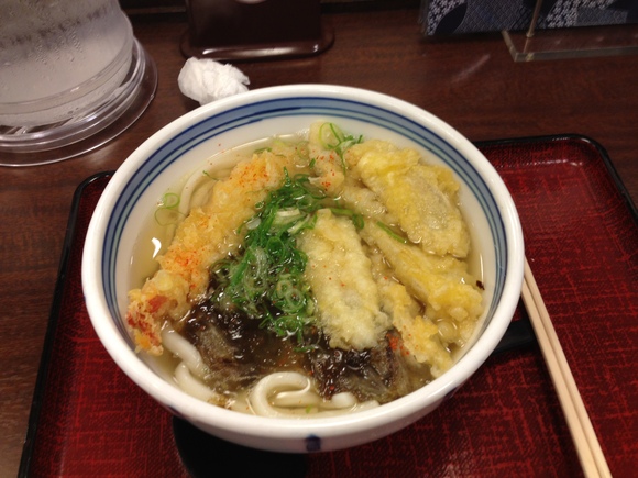 久留米からの帰路 - ごぼ天うどん_e0211513_0113990.jpg