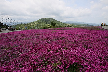 f0191413_20112967.jpg