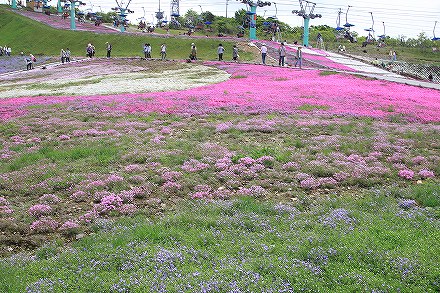f0191413_20122386.jpg