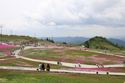 f0191413_20133838.jpg