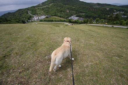 f0191413_2017845.jpg
