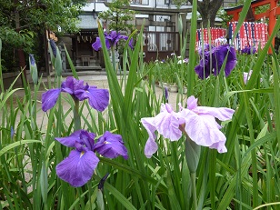 a0177314_23111675.jpg