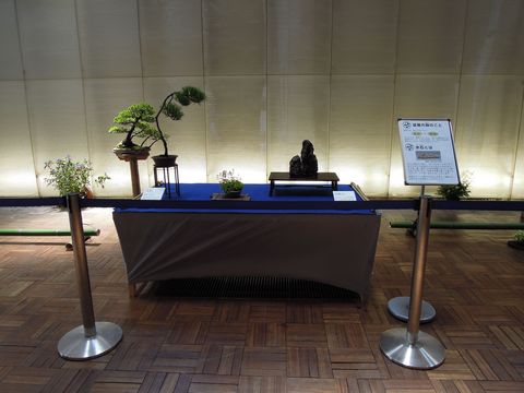 盆栽展示イベント_c0201116_20352645.jpg