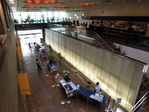 盆栽展示イベント_c0201116_2164227.jpg