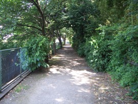 さむかわの緑道散歩_d0240916_18432095.jpg