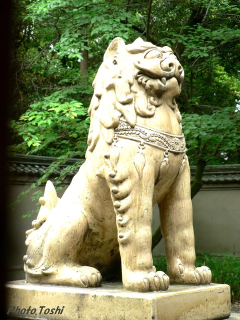 b0223617_17365637.jpg
