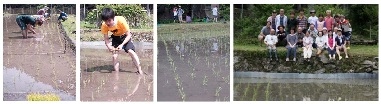 雨、気温0.6℃　　　　朽木小川・気象台より_c0044819_7414548.jpg