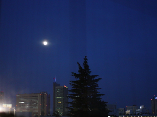 f0235919_11373368.jpg