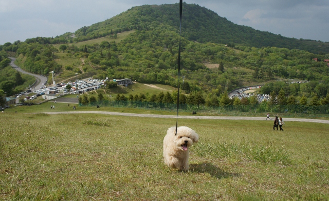 c0060920_1123657.jpg