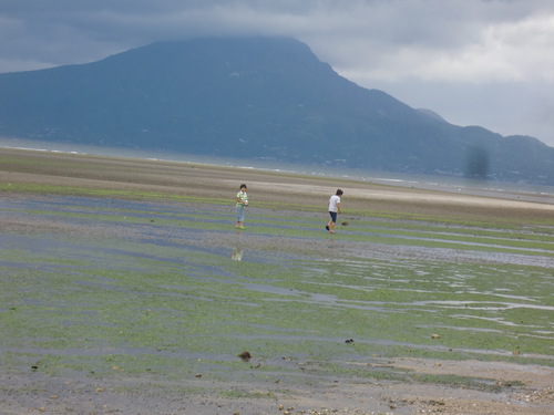 重富海岸へ・…2012，6月4日_b0175524_16542957.jpg