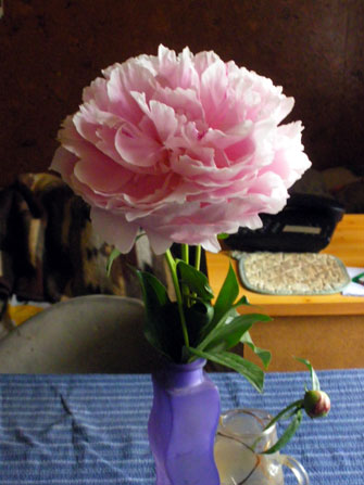 c0184125_2181921.jpg