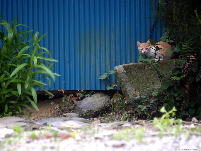 張込み_f0197128_201554.jpg