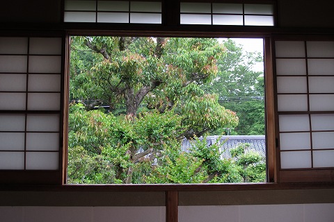 奈良_c0077531_0344957.jpg
