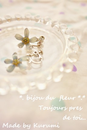 *. Bijou de la fleur.*　ブルースター_a0214632_1561753.jpg