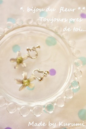 *. Bijou de la fleur.*　ブルースター_a0214632_2304564.jpg