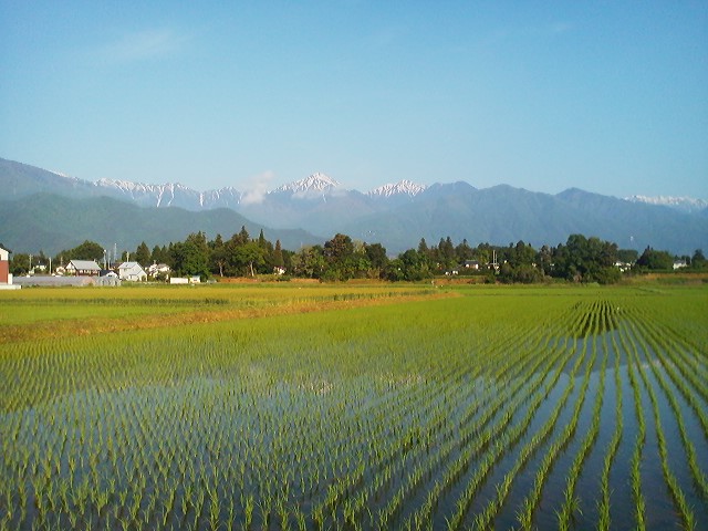 a0272241_13494566.jpg