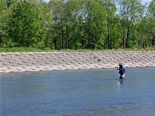 d0075843_2063247.jpg