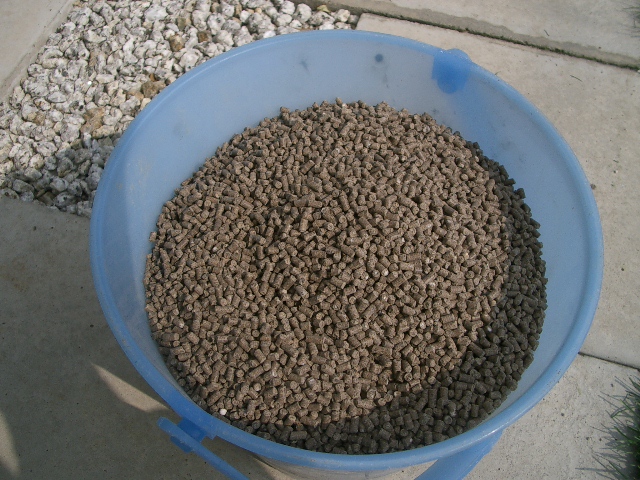 新兵器投入!_a0155844_17413554.jpg