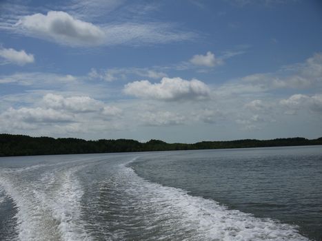 a0148349_21384676.jpg