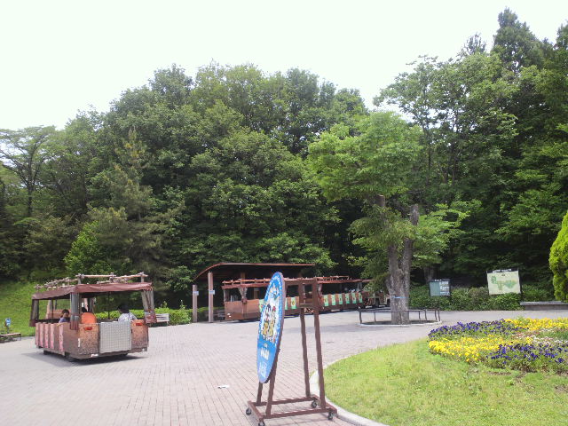 国営武蔵丘陵森林公園　　比企郡滑川町_b0232054_0215570.jpg