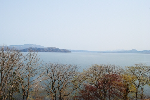 続・道東の旅　～春の花巡り～_f0119255_9572371.jpg