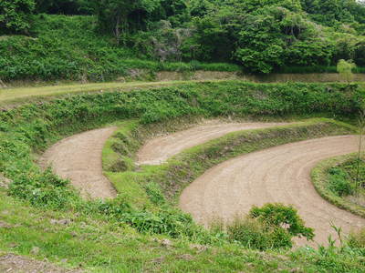 菊池水源棚田米_a0254656_11311292.jpg