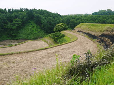 菊池水源棚田米_a0254656_1146353.jpg