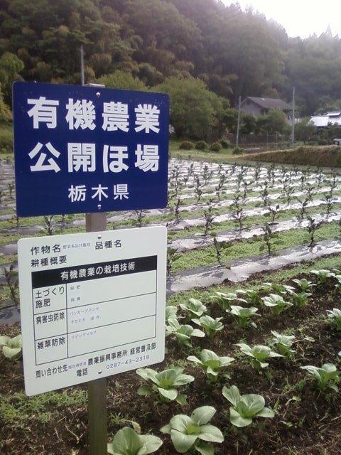 c0074157_21475040.jpg