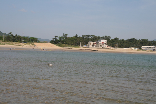 b0137459_21499.jpg