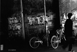 d0253060_22463750.png