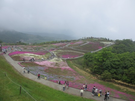幻想的なお花畑~茶臼山と宝物_a0243064_1165253.jpg