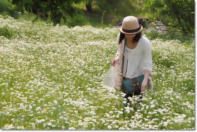 夢農場～姫川源流へ_b0053765_21383758.jpg